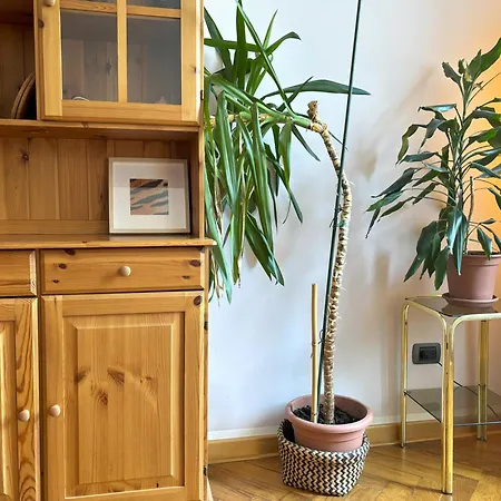 Flat Belpoggio 13 Apartament